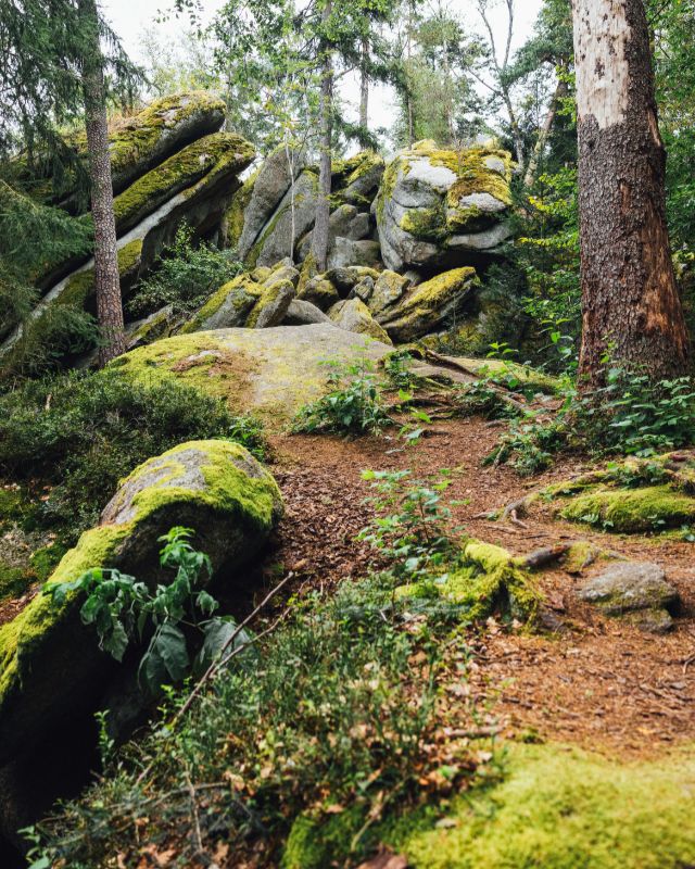 Profilfoto Trachtenverein Almenrausch Roßholzen, Roßholzen