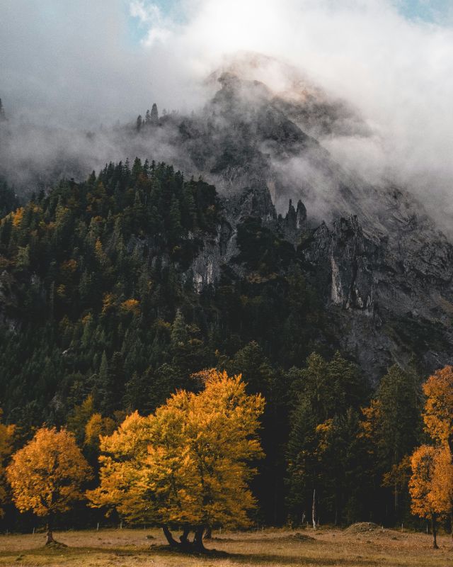 Profilfoto Trachtenverein D' Weikertstoana Weißbach, Weißbach