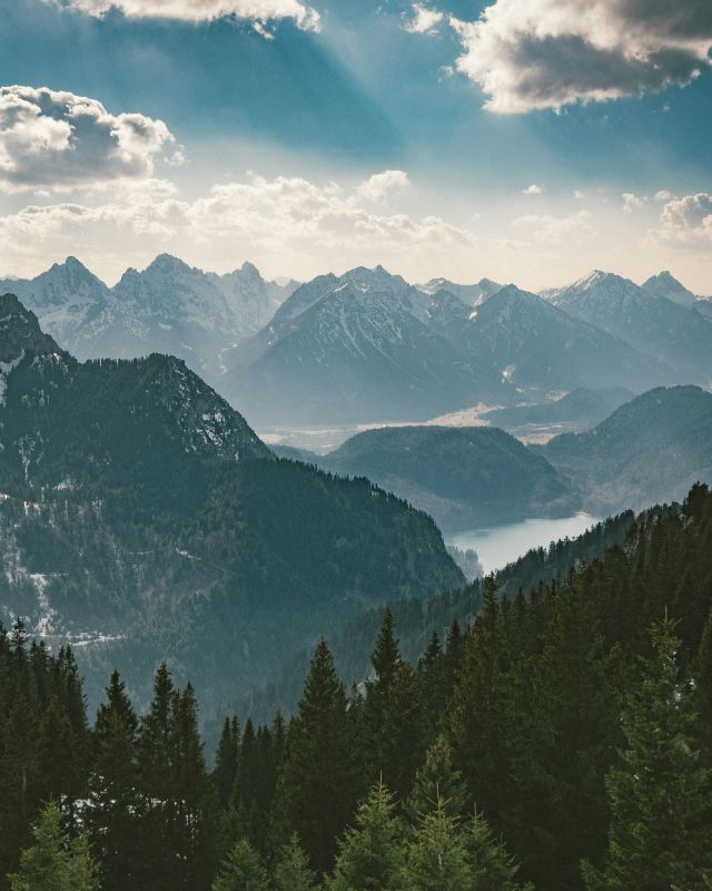 Profilfoto Trachtenverein D´Schwalbenstoaner Hohenfurch, Hohenfurch