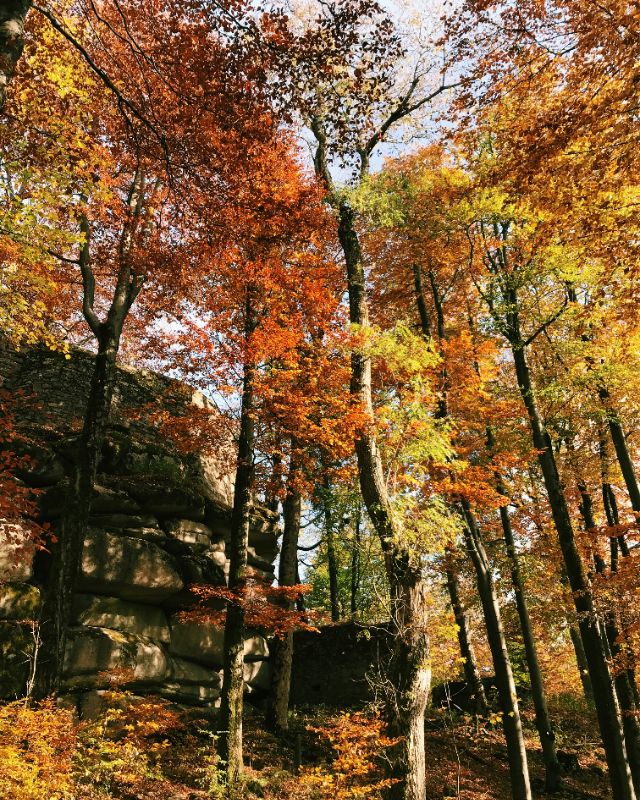 Profilfoto Trachtenverein Heimat- und Trachtenverein Almfrieden Gröbenzell, Gröbenzell