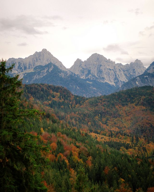 Profilfoto Trachtenverein Schwarzer Grat Großholzleute, Großholzleute