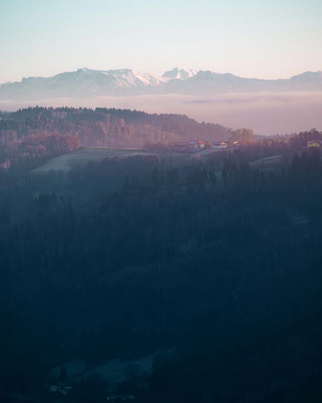 Profilfoto Trachtenverein D’Auerbergler Fürth, Fürth