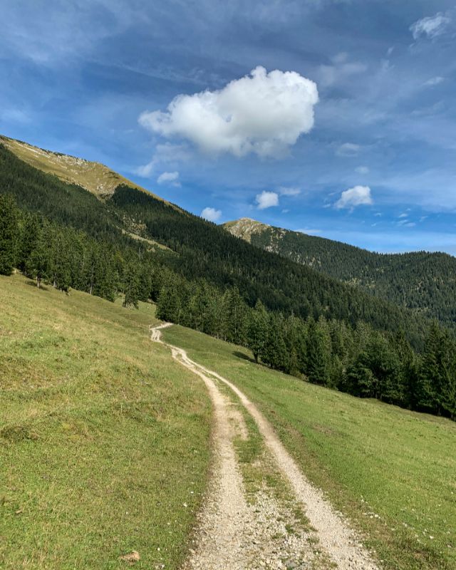 Profilfoto Trachtenverein Wander- und Heimatverein Roth Bernlohe, Bernlohe