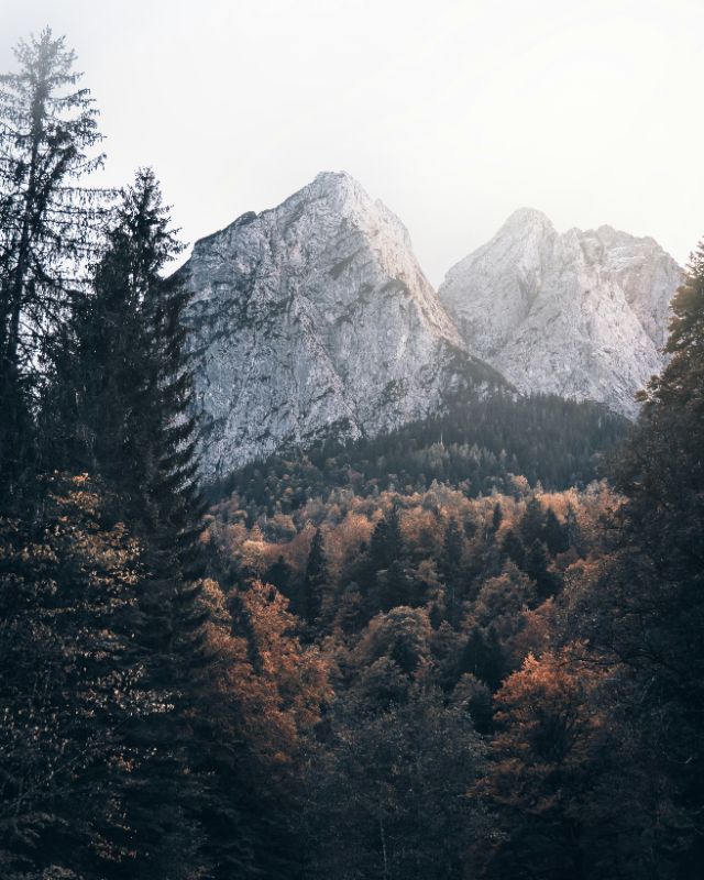 Profilfoto Trachtenverein Rohnbergler Parsberg, Parsberg